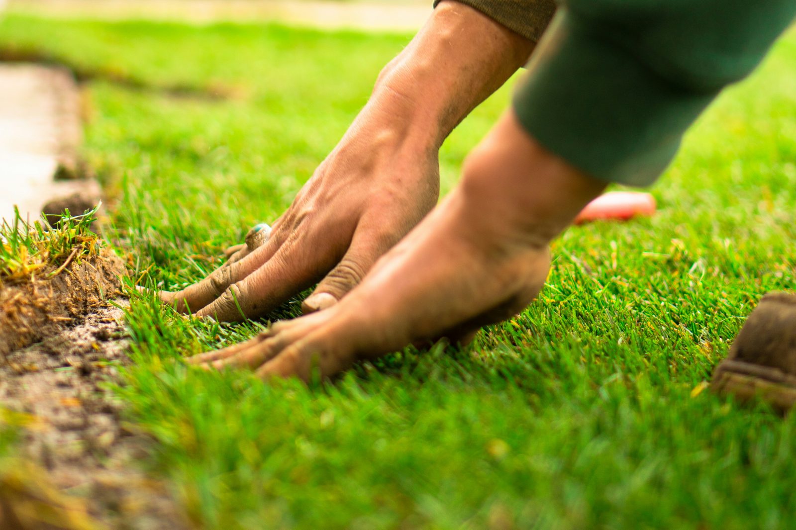 Landscape Design & Build